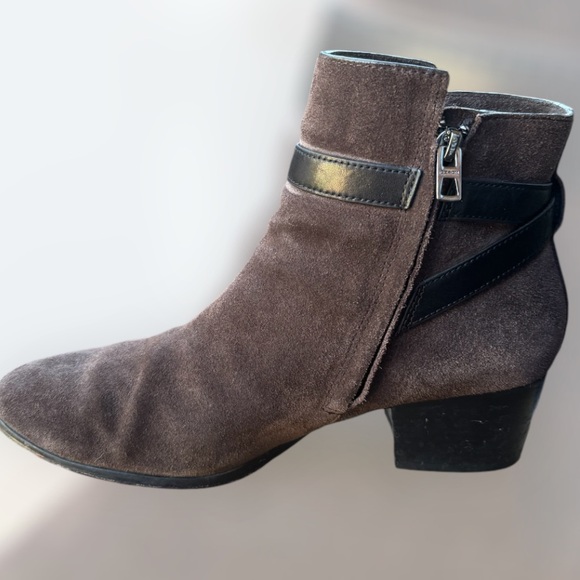 Coach - Picture 2 of 7